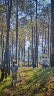 Presenting the first leg of the lodge to lodge hike. 

Just scouted, it's a 9km walk through forests, farms and fields.

Take a different holiday this time. Go on a 4-day, 16km walk through the villages and jungles of the Shitlakhet valley.

Day 1: Check into the cottage in a Village.
Day 2: Hike to the luxury tents (9km)
Day 3: Hike to the Paathar House (3km)
Day 4: Hike to the Earth Homes (3km)
Day 5: Check out from Nayalap
--
#livingNayalap #boutiquehotel #luxurytrekking