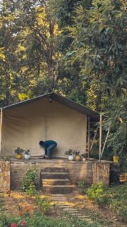 A summer filled with lillies and daisies and butterflies, all under an oak forest. Take it easy in the Himalayas under the beautiful summer skies of Nayalap.
Go on a hike. Or don't. Listen to the birds. Or don't. Drive to a cafe. Or don't. This is your summer.
--
#livingNayalap #boutiquehotel #glamping #shitlakhet #kumaonstay