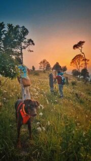 A sunset quiets the mind. It makes you stop. Stop to see. Stop to think. Stop to ponder about the grass and the flowers and about life.
There's a lot a walk to a sunset can do for your soul. Leave your desk and go on one today.