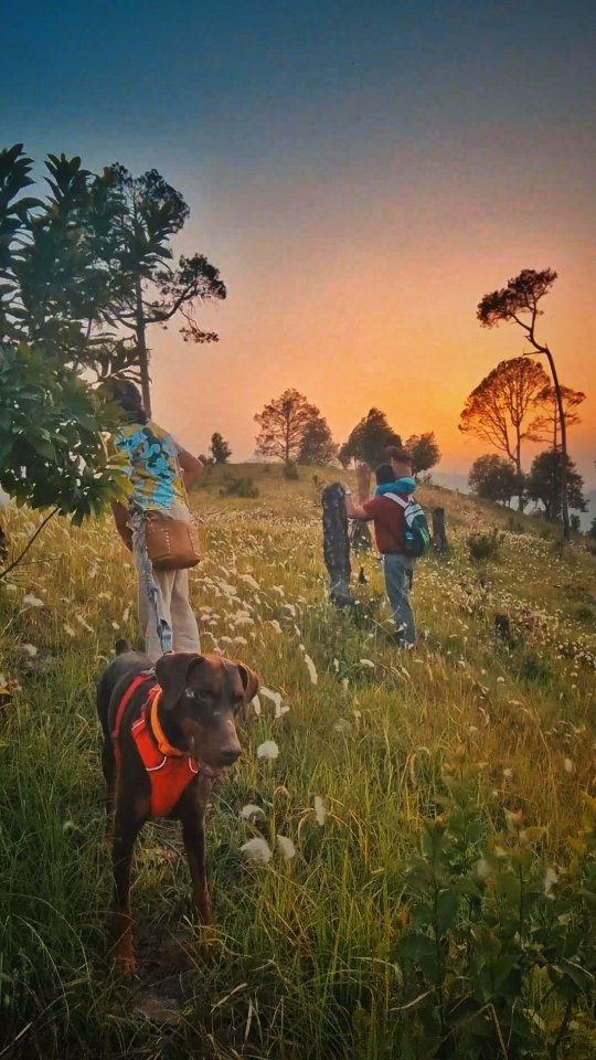 A sunset quiets the mind. It makes you stop. Stop to see. Stop to think. Stop to ponder about the grass and the flowers and about life.

There's a lot a walk to a sunset can do for your soul. Leave your desk and go on one today.
