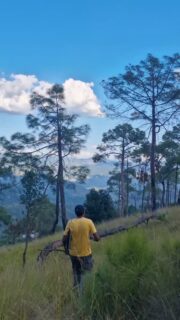 It's slow. It's pretty. And when the Himalayas show, its magnificent.
This isn't a trek. It follows the old village paths and crosses over fields and goes past houses with their grass tied up.
This is a trek as it's 8-9km long and you need ankle support boots. In some places you walk along a road. I some places you make your own path.
But look beyond the boxes of trek and walks and you'll find a hill that tells many stories, that waves with the wind, that takes you through forests and fields, that opens up a new world at every corner.
This is, the lodge-to-lodge trek.
--
#kumaontravel #lodgetolodge #himalayanhike #boutiquehotel #familytravel