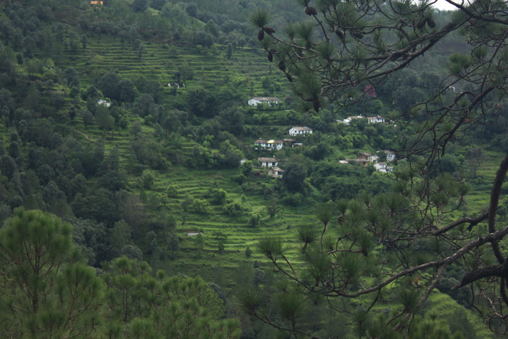 Startup in a village