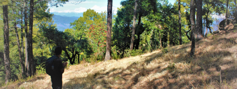 Lodge to Lodge Hike in Kumaon