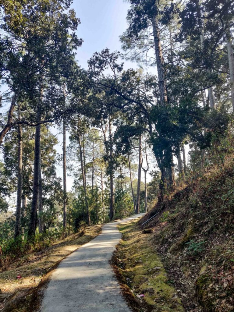Nehru's track through the forests of Ranikhet
