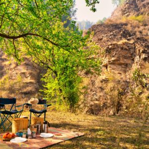 picnic lunch