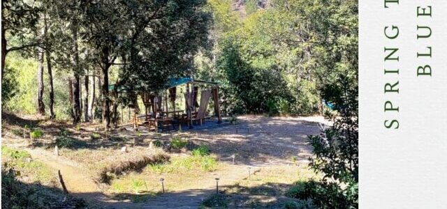 Spring at a glamping site