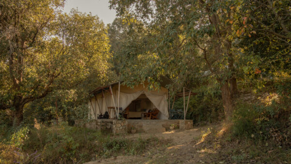 Reserve your luxury tent stay in Uttarakhand - Image 3